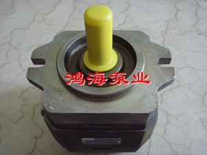 齒輪(lun)泵案例